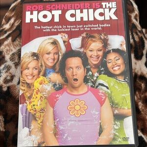 The Hot Chick DVD